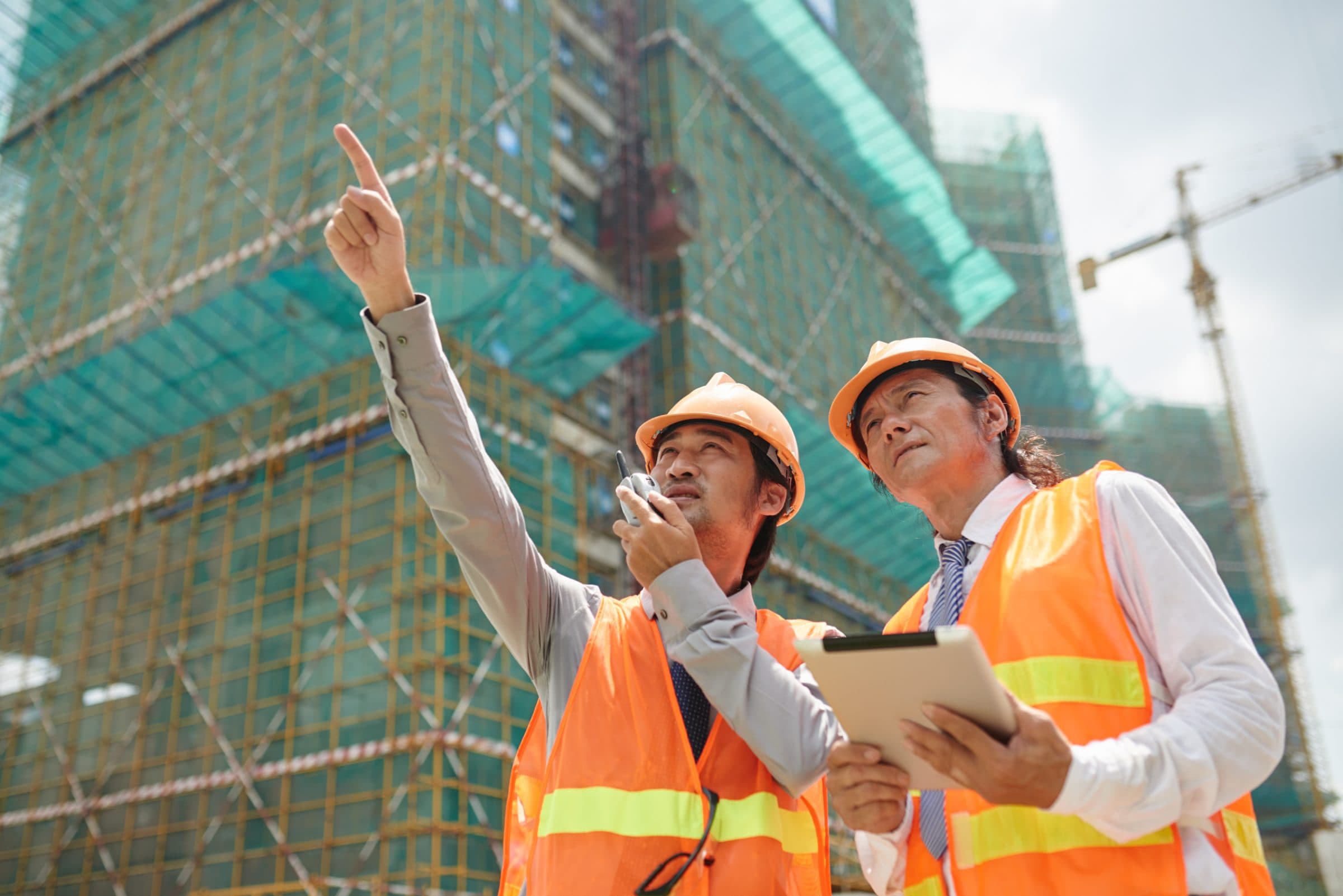 Consultation and site survey